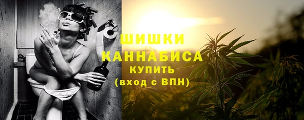 ешки Бронницы