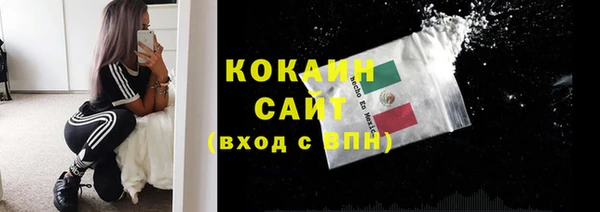 2c-b Бородино