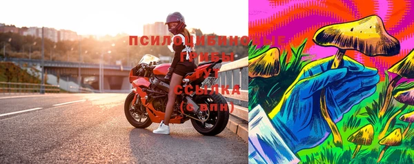 ешки Бронницы