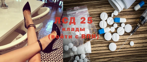 2c-b Бородино