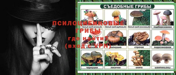 эйфоретик Семилуки