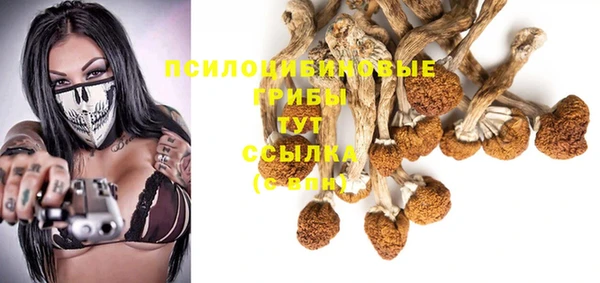 ешки Бронницы